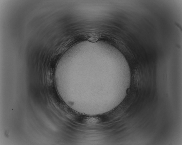 X0000100480218200807031900