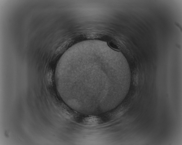 X0000100480219200807031900