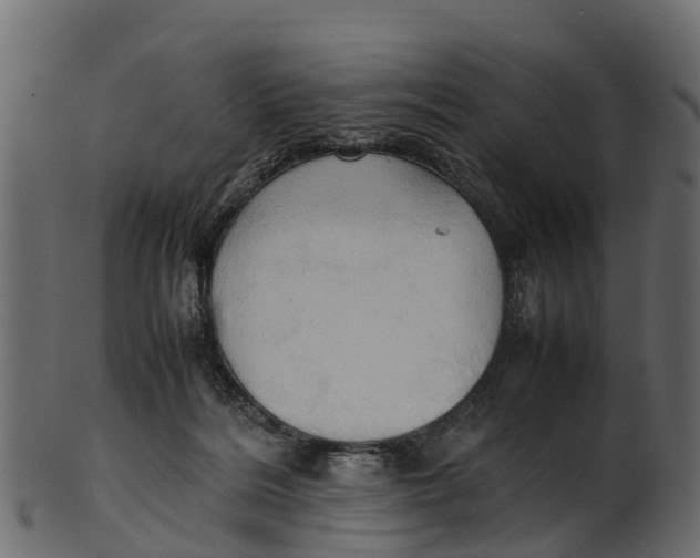 X0000100480220200807031900