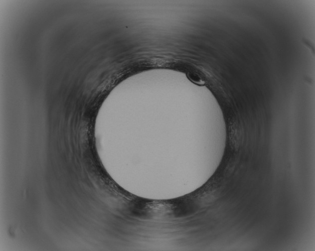 X0000100480221200807031900