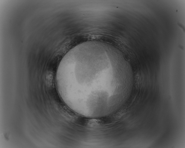 X0000100480222200807031900