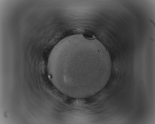 X0000100480223200807031900