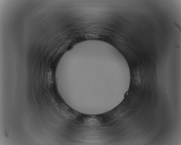 X0000100480224200807031900