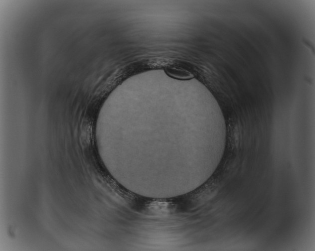 X0000100480227200807031900