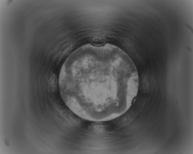 X0000100480228200807031859