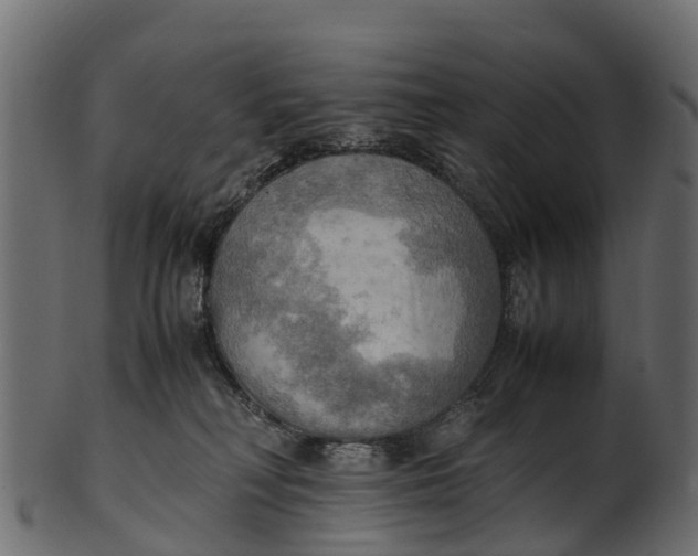 X0000100480230200807031859