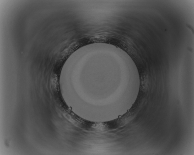 X0000100480231200807031859