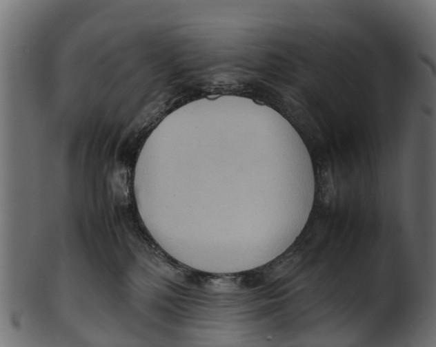 X0000100480232200807031859