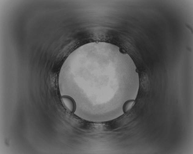 X0000100480233200807031859