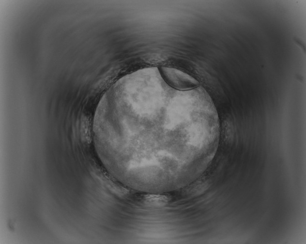 X0000100480234200807031859