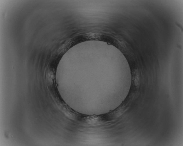 X0000100480235200807031859