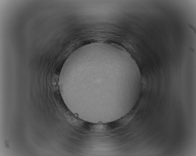 X0000100480237200807031859