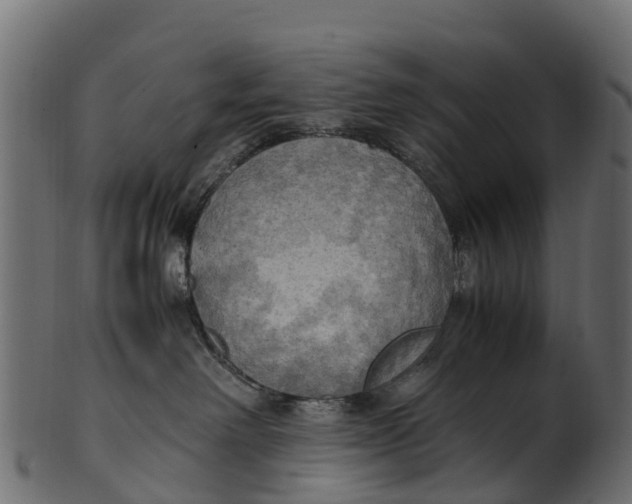 X0000100480238200807031859