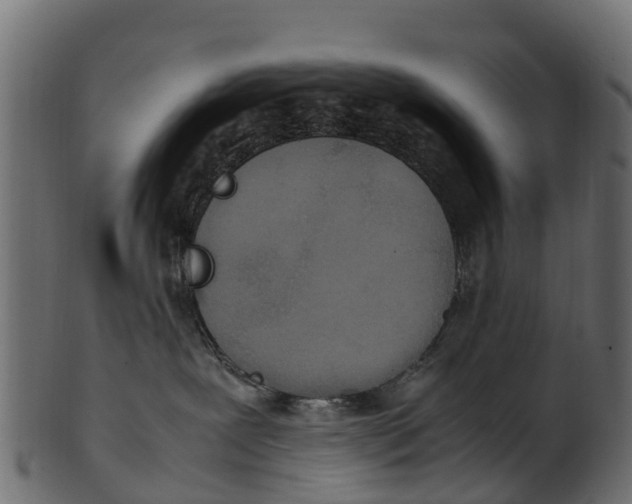 X0000100480239200807031859