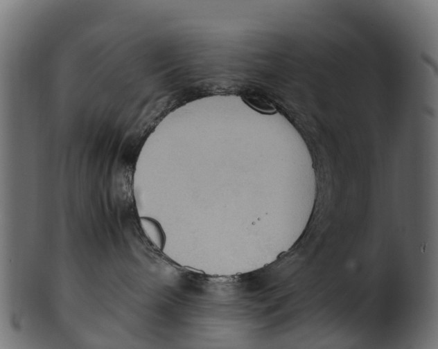 X0000100480240200807031859