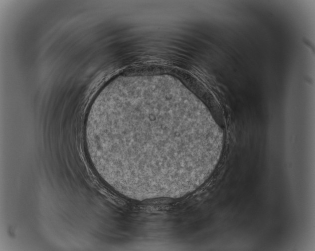 X0000100480241200807031859