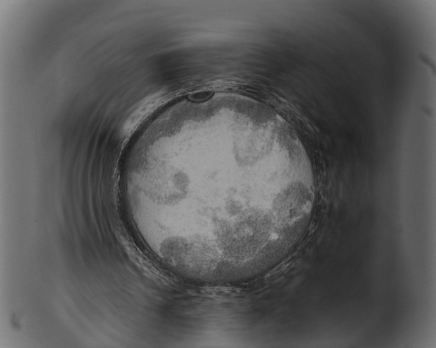 X0000100480242200807031859