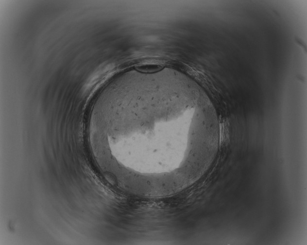 X0000100480243200807031859