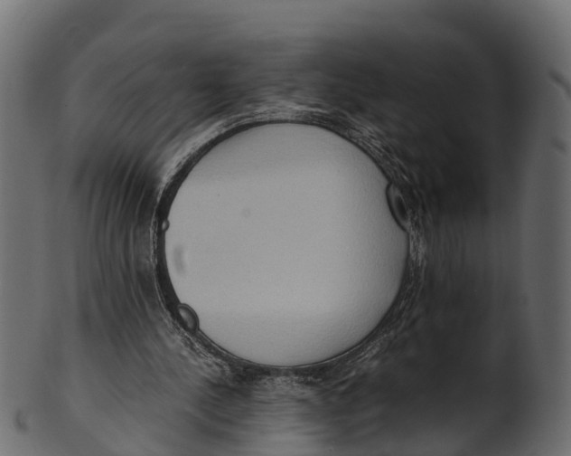 X0000100480244200807031859