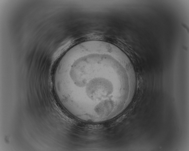 X0000100480245200807031859