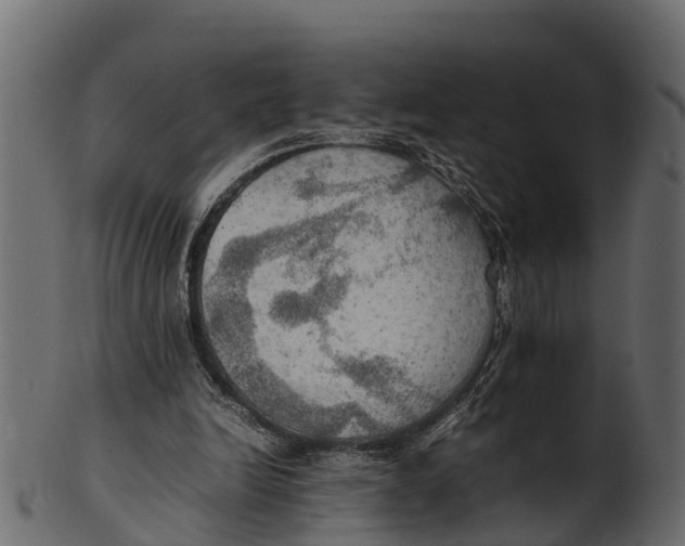 X0000100480246200807031859