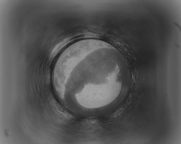 X0000100480247200807031859