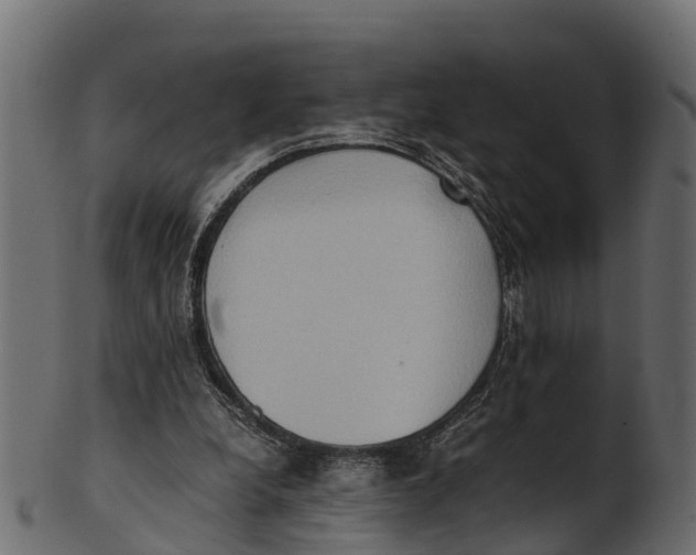 X0000100480248200807031859