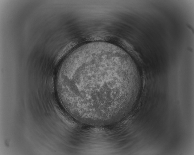 X0000100480250200807031859