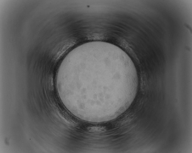 X0000100480251200807031859