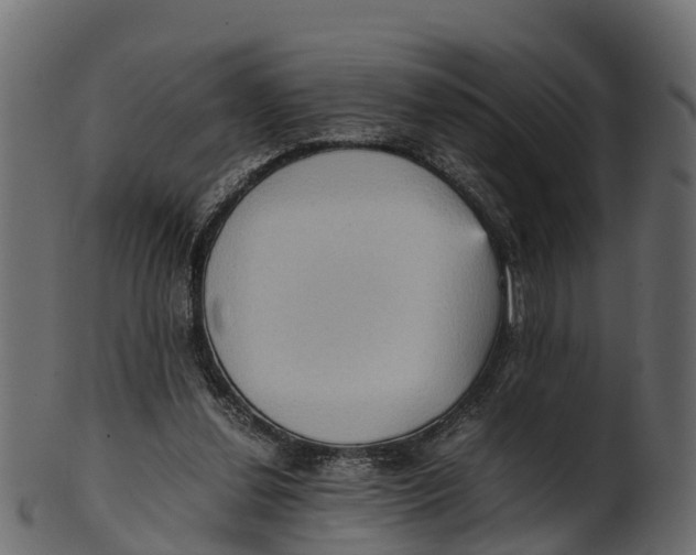 X0000100480252200807031859