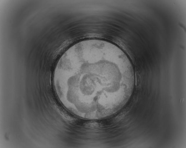 X0000100480253200807031859