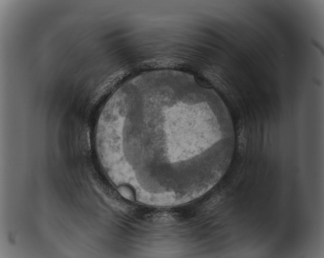 X0000100480254200807031859