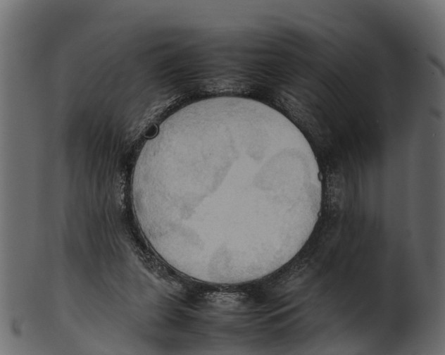 X0000100480255200807031859