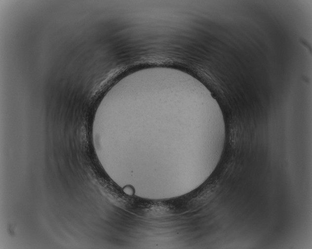 X0000100480256200807031859