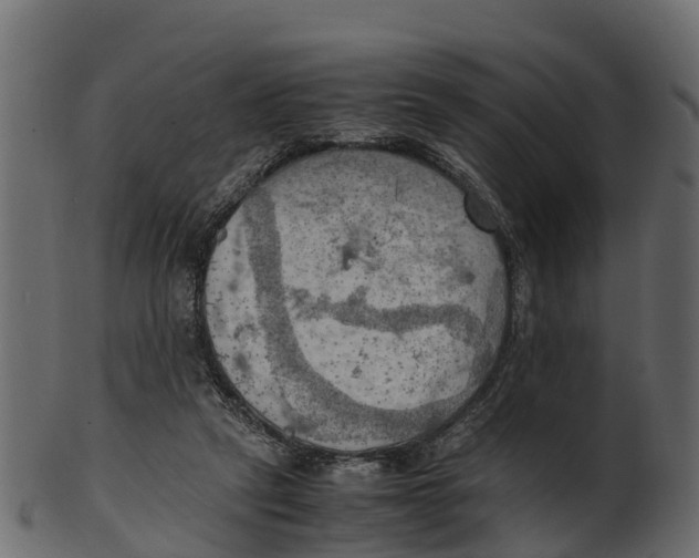 X0000100480257200807031859