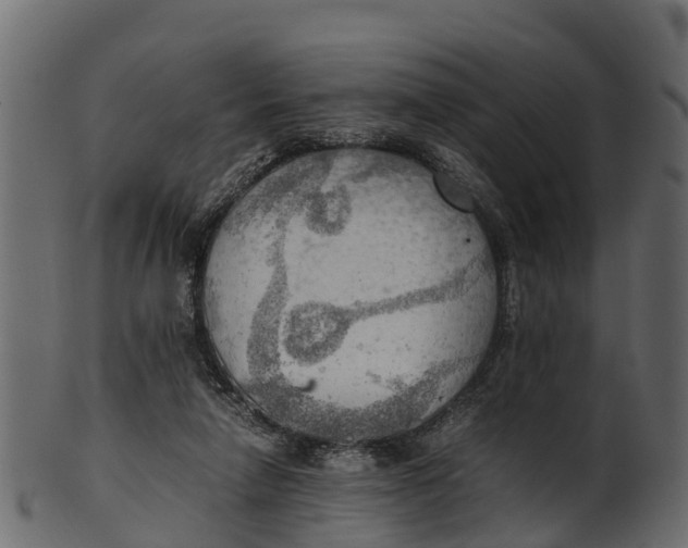 X0000100480258200807031859