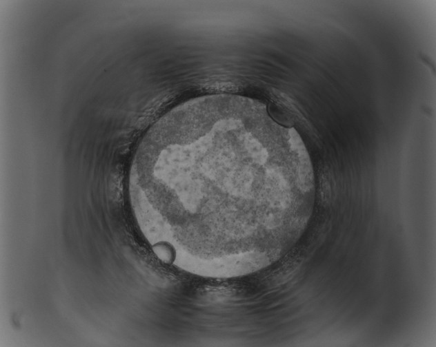 X0000100480259200807031859