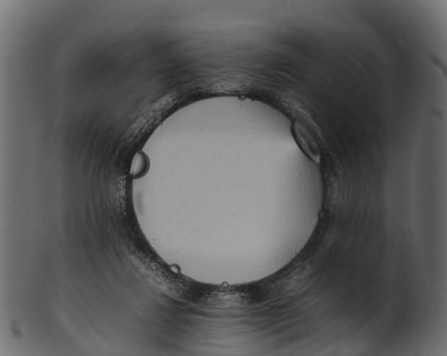 X0000100480260200807031859