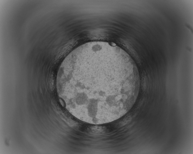 X0000100480261200807031859