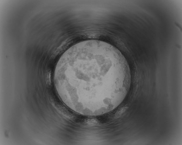 X0000100480262200807031859