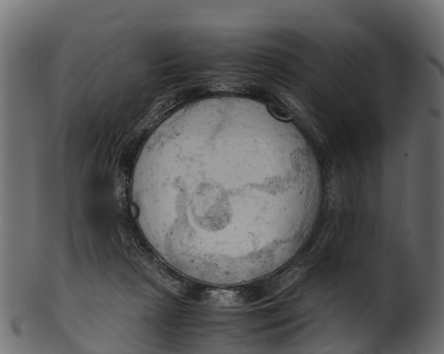 X0000100480265200807031859