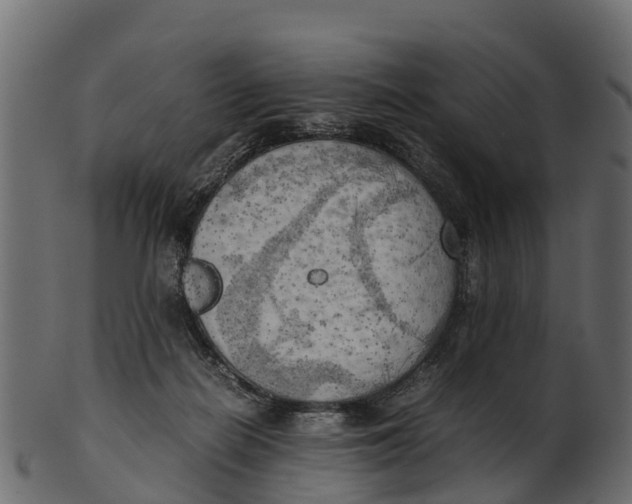 X0000100480266200807031859