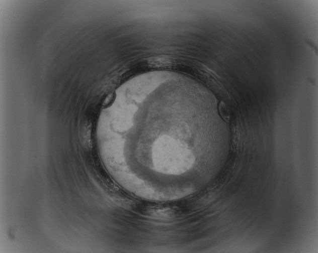 X0000100480267200807031859