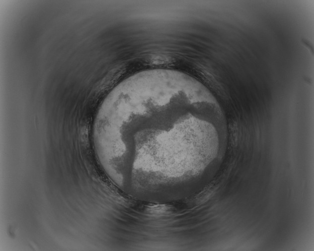 X0000100480269200807031859