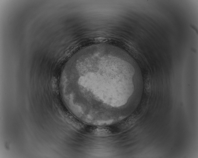 X0000100480270200807031859