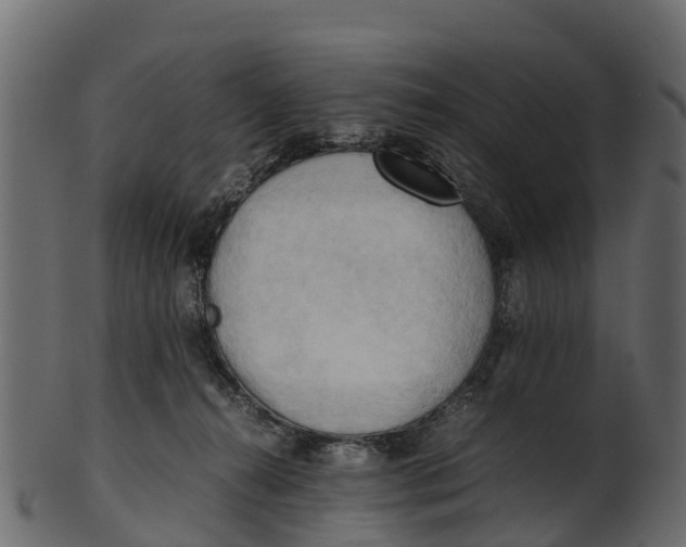 X0000100480272200807031859