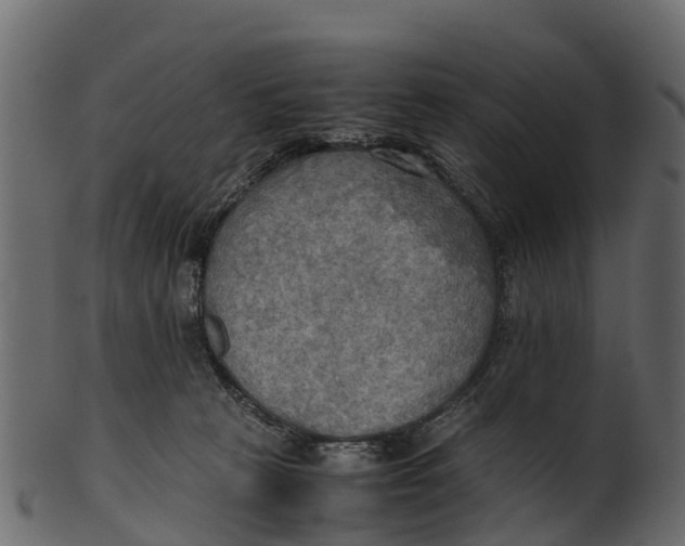 X0000100480273200807031859