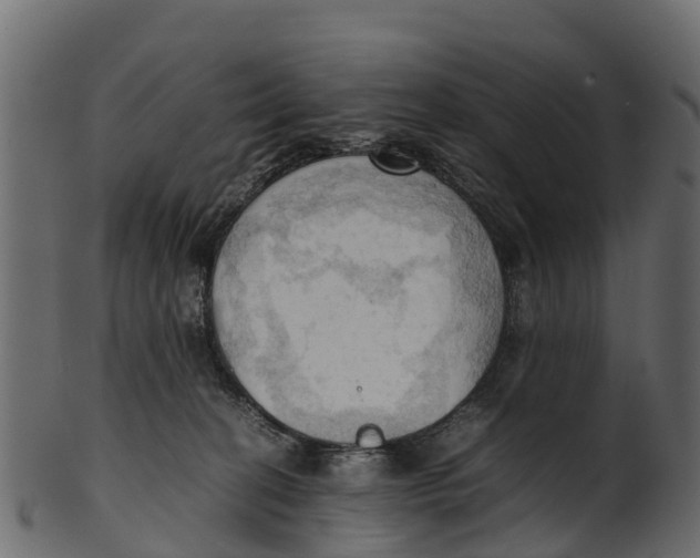 X0000100480274200807031859