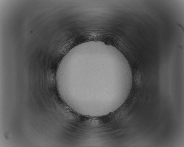 X0000100480276200807031859