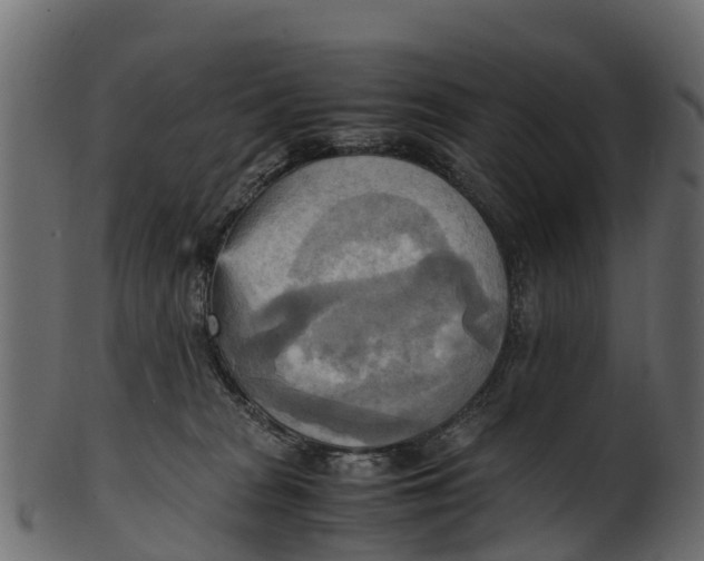 X0000100480277200807031859